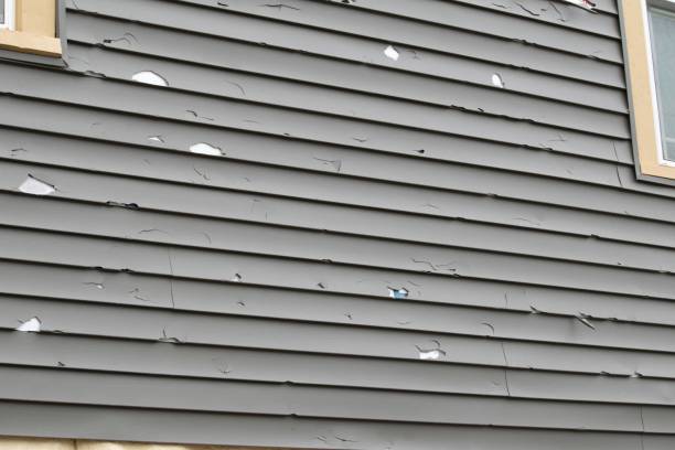 Trusted Berry College, GA Siding Installation & Repair Experts